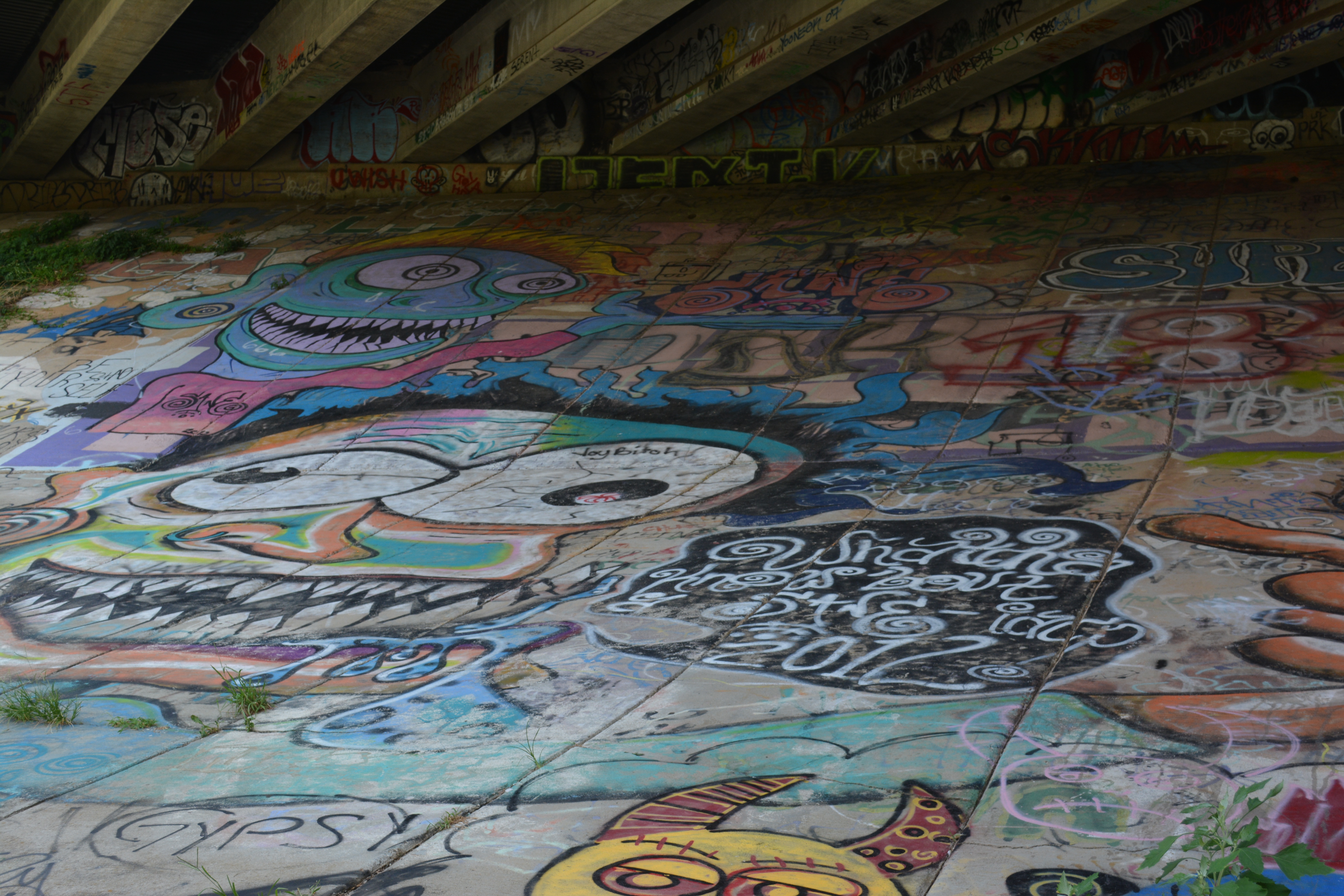 As I approached the skatepark, I saw a lot of art done along the BeltLine.