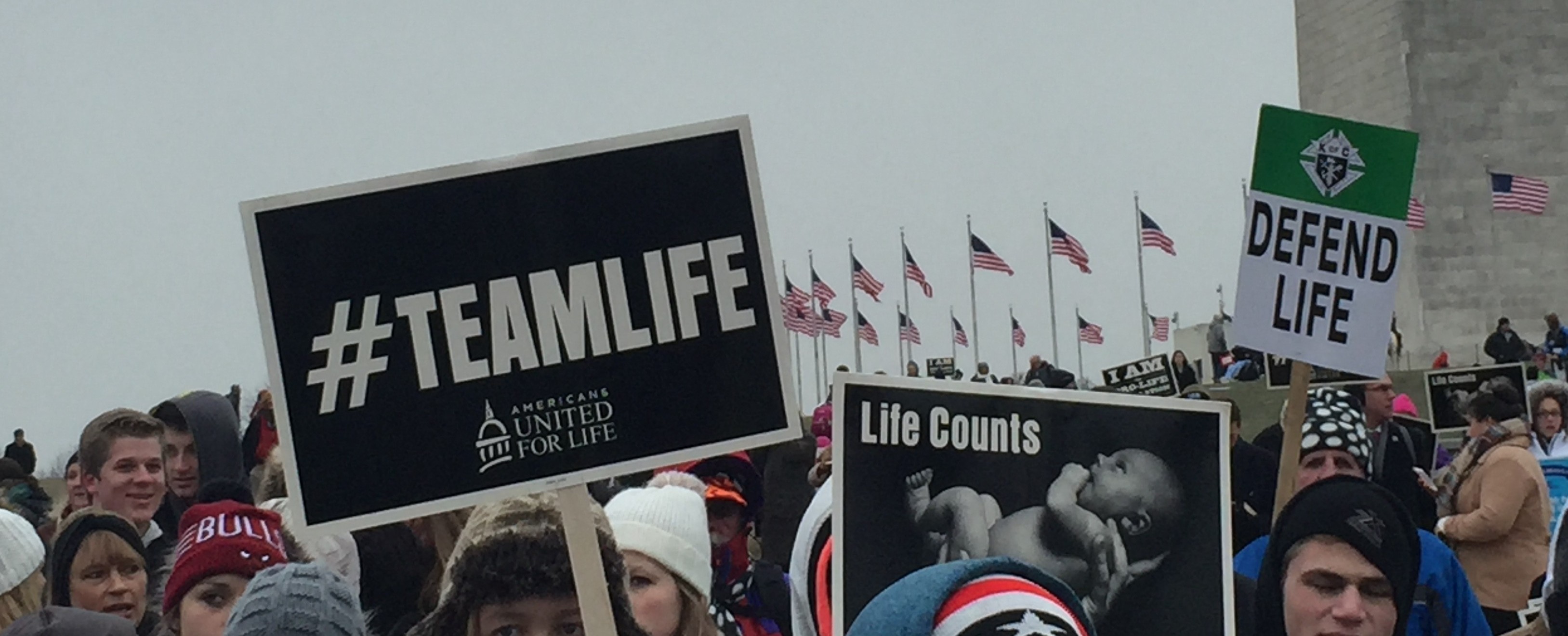 Protesters hold #TeamLife and other prochoice signs at March for Life in Washington, D.C.