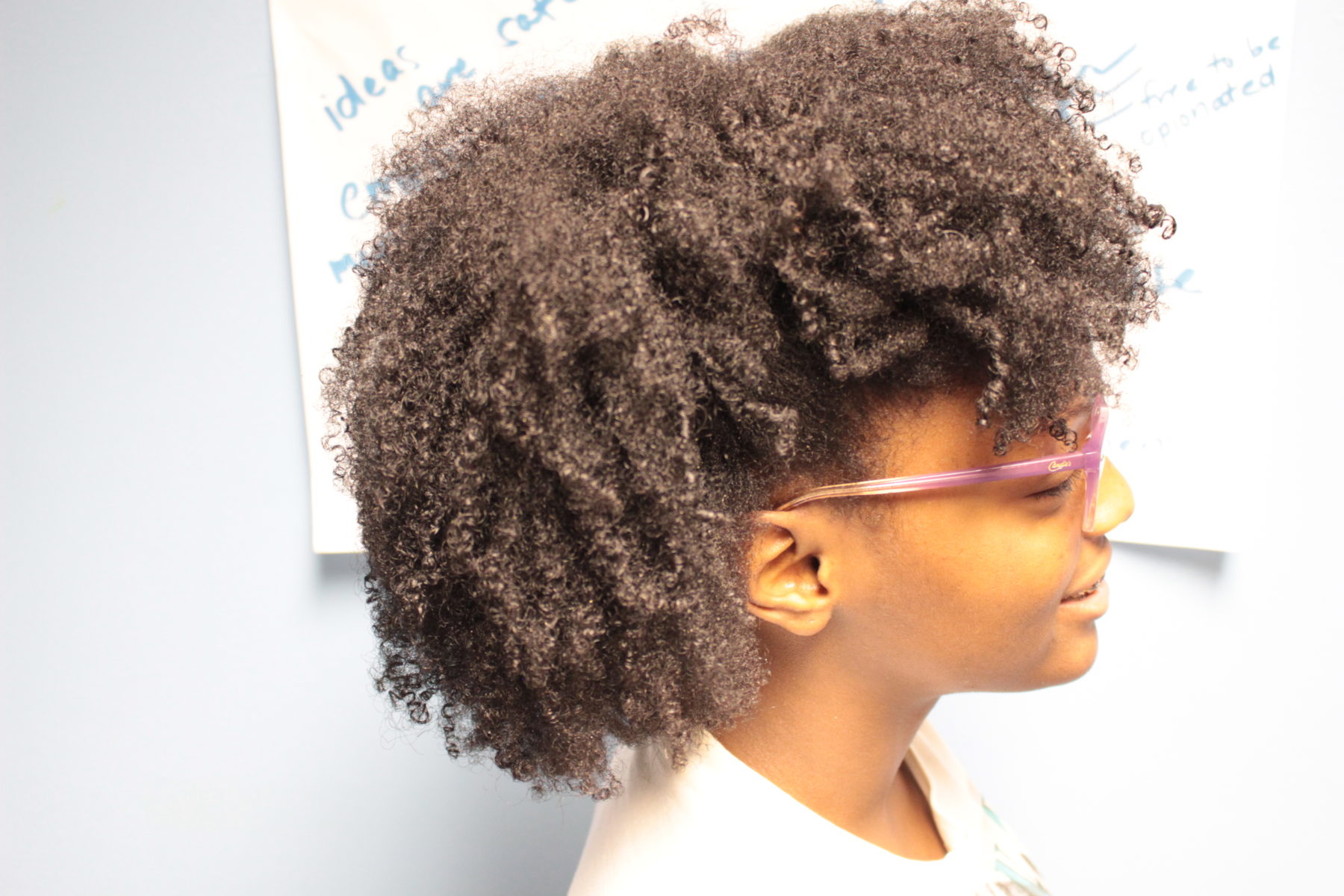 The Controversy Over Natural Hair in the Workplace and at School